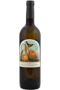Kleine Oranjerie Semillon Sauvignon Blanc, frisse witte blend van Semillon en Sauvignon Blanc uit Zuid-Afrika.