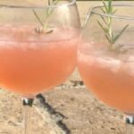 Unieke Zomerse Provence rosé Cocktail